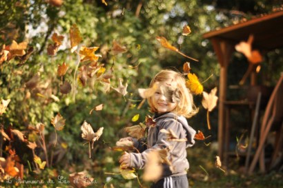 feuilles-d-automne