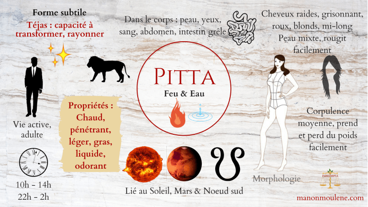Pitta