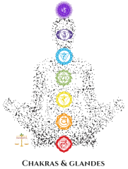 Copy of Chakras