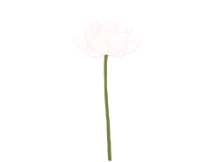 lotus-e1566655218691.png